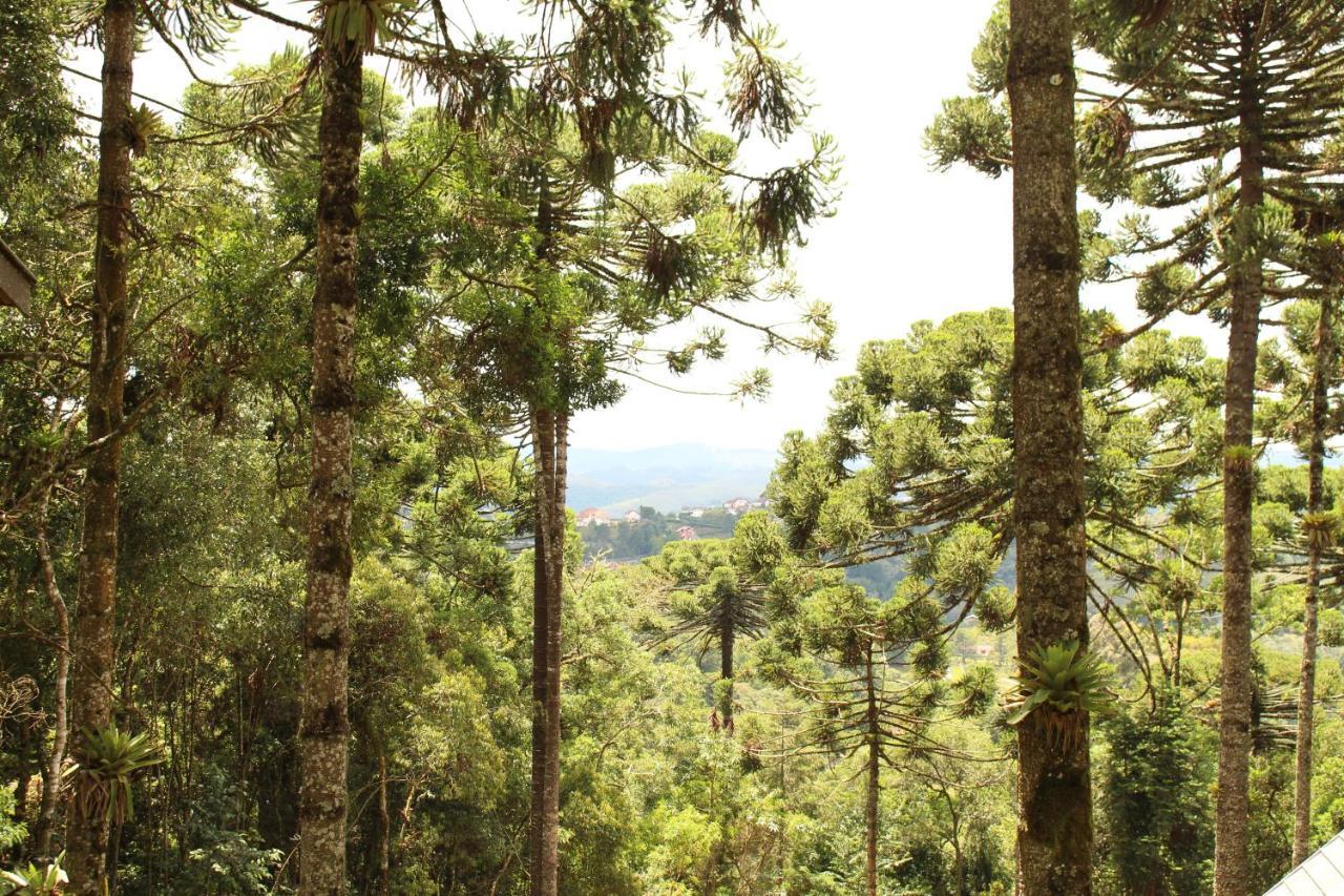 Casa De Campos Campos do Jordão