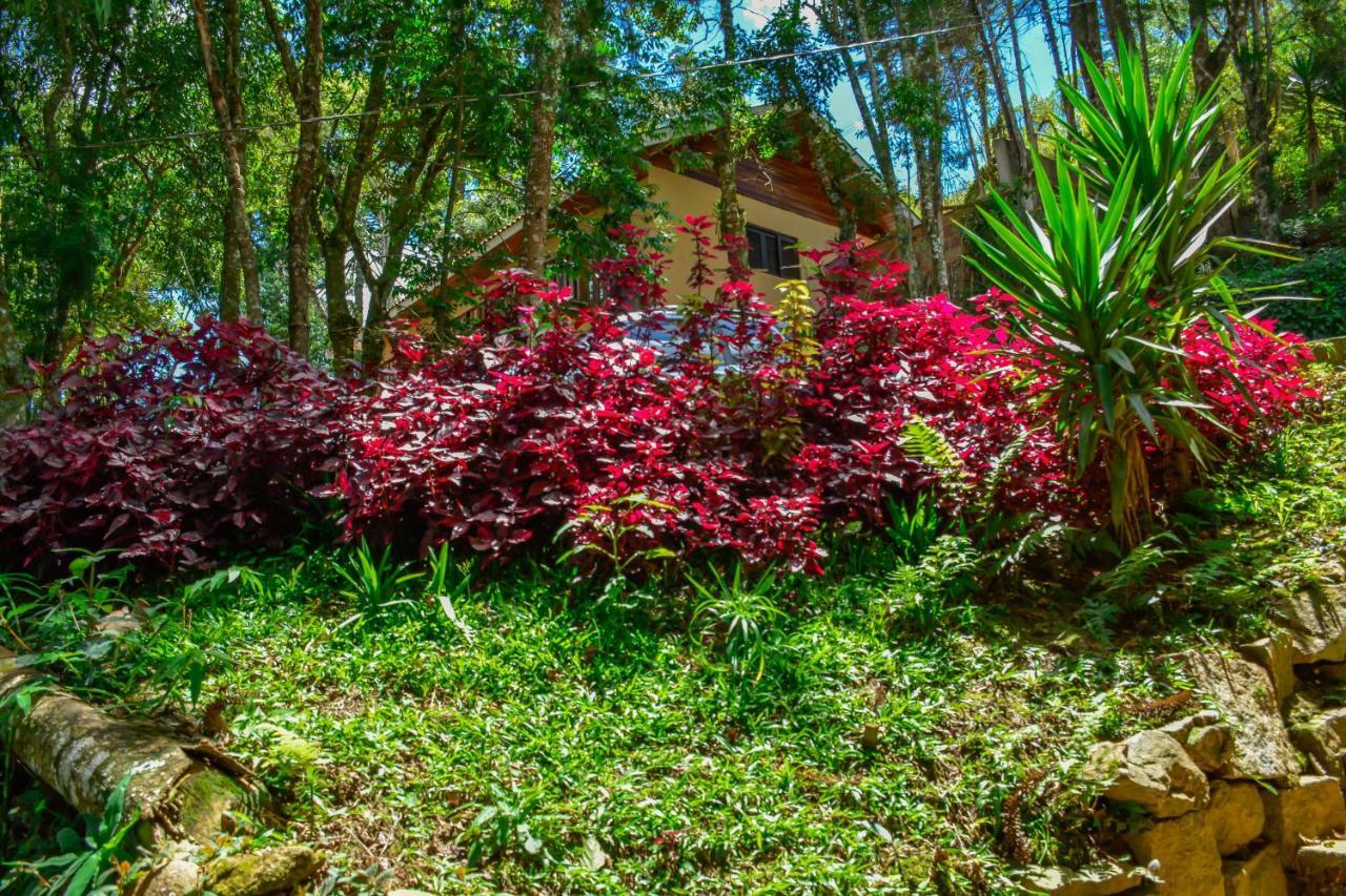 Casa De Campos Campos do Jordão